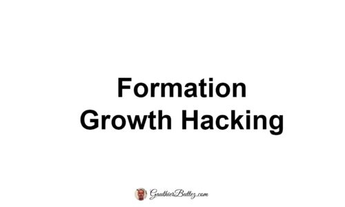 Formation Growth Hacking Payante